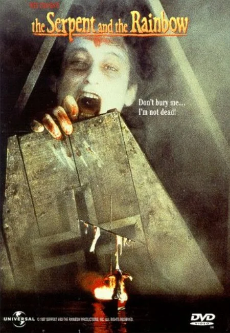 La Serpiente y el Arcoiris