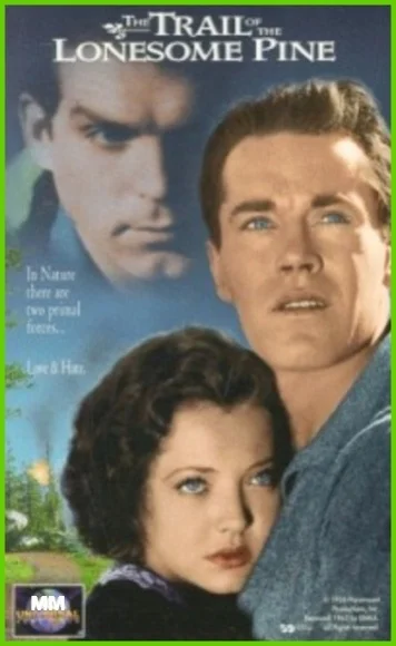 El camino del pino solitario